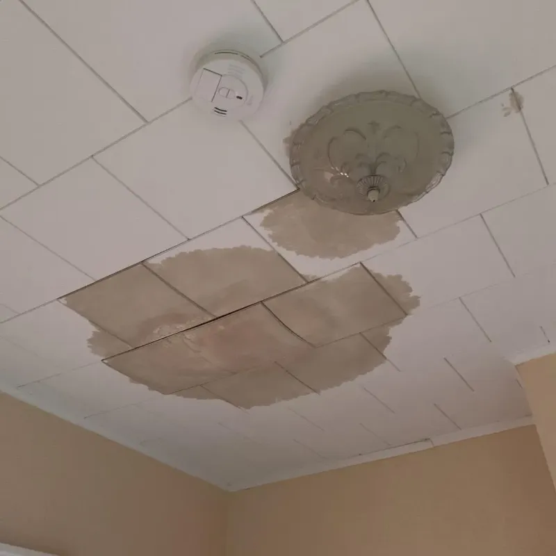 Ceiling Water Damage Repair in Silver City, NM