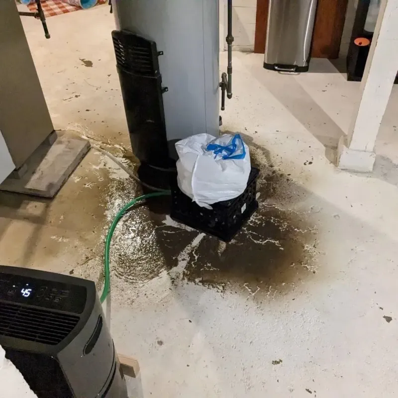 Sewage Backup Cleanup Service in Silver City, NM